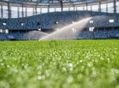 谢霆锋录制,节目,美女相伴,巅峰国际,巅峰国际入口,巅峰国际平台,巅峰国际官方