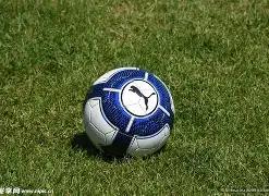 罗面临指控,要求澄清,强奸案疑云,巅峰国际,巅峰国际入口,巅峰国际平台,巅峰国际官方