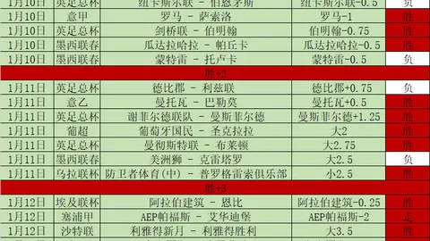 BBC新闻报道：维拉双星出战未定，迪萨西避嫌条款缺席